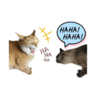 キャッツとアニー2（個別スタンプ：7）