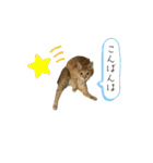 キャッツとアニー2（個別スタンプ：32）