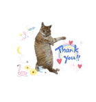 キャッツとアニー2（個別スタンプ：34）
