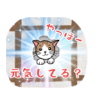 ご利益あるかも？ネコ（個別スタンプ：23）