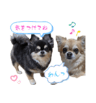 ぽてとまめ3（個別スタンプ：3）