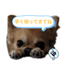 ぽてとまめ3（個別スタンプ：8）