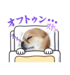 ぽてとまめ3（個別スタンプ：9）