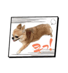 ぽてとまめ3（個別スタンプ：14）