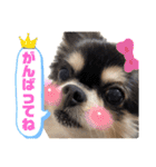ぽてとまめ3（個別スタンプ：18）