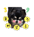 ぽてとまめ3（個別スタンプ：22）