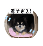 ぽてとまめ3（個別スタンプ：24）