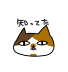 あびゃ猫スタンプ（個別スタンプ：5）