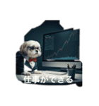 とても元気なシーズーさん6（個別スタンプ：11）