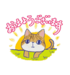 毎日使える「猫のまるちゃん」（個別スタンプ：1）