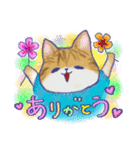 毎日使える「猫のまるちゃん」（個別スタンプ：5）
