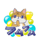 毎日使える「猫のまるちゃん」（個別スタンプ：11）