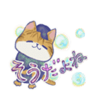 毎日使える「猫のまるちゃん」（個別スタンプ：12）
