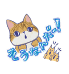 毎日使える「猫のまるちゃん」（個別スタンプ：13）