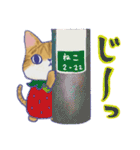 毎日使える「猫のまるちゃん」（個別スタンプ：24）