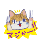 毎日使える「猫のまるちゃん」（個別スタンプ：27）