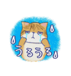 毎日使える「猫のまるちゃん」（個別スタンプ：29）