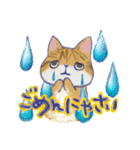 毎日使える「猫のまるちゃん」（個別スタンプ：30）