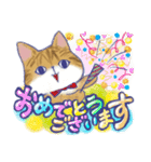毎日使える「猫のまるちゃん」（個別スタンプ：35）