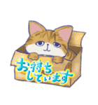 毎日使える「猫のまるちゃん」（個別スタンプ：37）