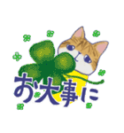毎日使える「猫のまるちゃん」（個別スタンプ：39）
