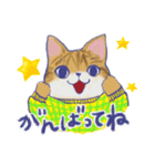 毎日使える「猫のまるちゃん」（個別スタンプ：40）