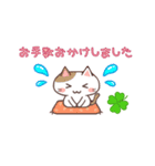 【敬語】ありがと猫・おねがい猫（個別スタンプ：12）