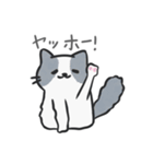 かわいい猫ちゃんスタンプセット（個別スタンプ：2）