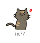 かわいい猫ちゃんスタンプセット（個別スタンプ：4）
