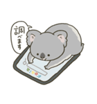 ちっちゃいコアラくん。【日常】（個別スタンプ：20）