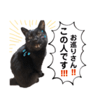 黒猫トムチ8（個別スタンプ：5）