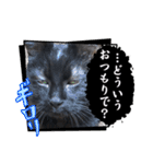 黒猫トムチ8（個別スタンプ：9）