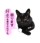 黒猫トムチ8（個別スタンプ：16）