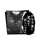 黒猫トムチ8（個別スタンプ：20）