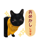 黒猫トムチ8（個別スタンプ：21）