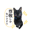 黒猫トムチ8（個別スタンプ：22）