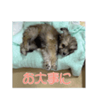 エル氏(4ヶ月記念)（個別スタンプ：7）