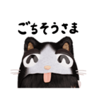 コスプレねこ④（個別スタンプ：12）