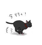 黒猫ののんびり1日（個別スタンプ：3）