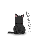 黒猫ののんびり1日（個別スタンプ：5）