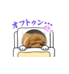 トイプーのCOCOちゃんやで♡3（個別スタンプ：4）