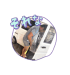 こすピー2025（個別スタンプ：9）