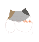 三毛猫茶々丸の日常スタンプ（個別スタンプ：4）