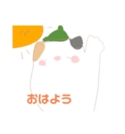 三毛猫茶々丸の日常スタンプ（個別スタンプ：21）