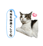 にゃんにゃんむすめ（個別スタンプ：2）