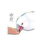 白文鳥≒Sue（個別スタンプ：10）