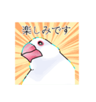 白文鳥≒Sue（個別スタンプ：14）