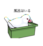 白文鳥≒Sue（個別スタンプ：15）