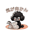 黒いマルプーくん（待ち合わせ）（個別スタンプ：5）