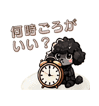 黒いマルプーくん（待ち合わせ）（個別スタンプ：12）